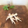 Chicken Feet JB 1kg