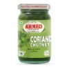 Mint Chutney 330g