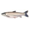 Mirgal Fish, Cut, 1kg